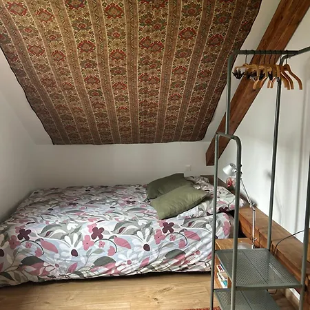 Le Cabanon Σπίτι διακοπών Κολμάρ